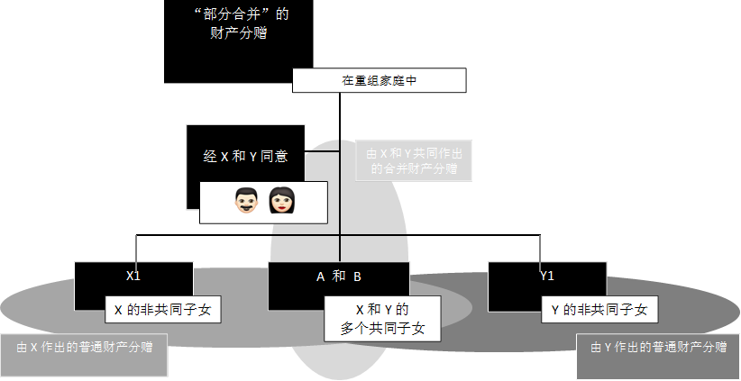 “部分合并”的
财产分赠
,在重组家庭中,经X和Y同意
,由X和Y共同作出的合并财产分赠,由X作出的普通财产分赠,由Y作出的普通财产分赠,X1,A 和 B,Y1,Y的非共同子女,X和Y的
多个共同子女
,X的非共同子女,   