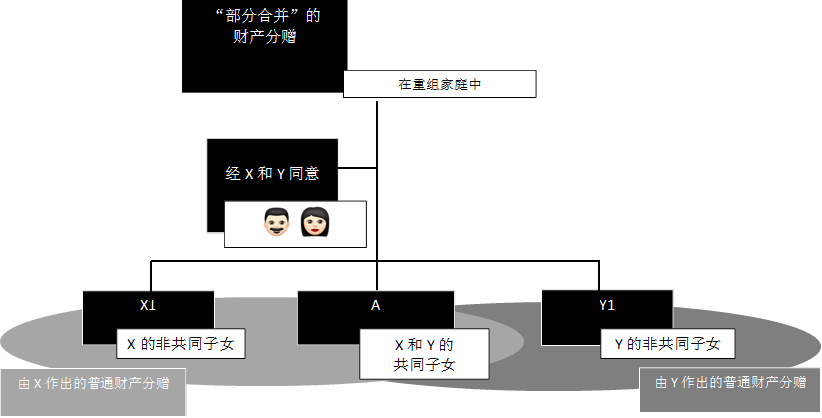 “部分合并”的
财产分赠
,经X和Y同意
,由X作出的普通财产分赠,由Y作出的普通财产分赠,X1,A ,Y1,Y的非共同子女,X和Y的
共同子女
,X的非共同子女,   ,在重组家庭中