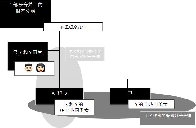 “部分合并”的
财产分赠
,在重组家庭中,经X和Y同意

,由X和Y共同作出的合并财产分赠,由Y作出的普通财产分赠,A 和 B,Y1,Y的非共同子女,X和Y的
多个共同子女
,   