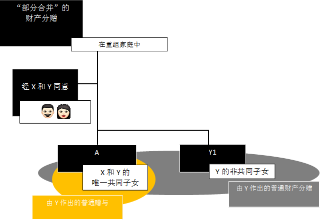 “部分合并”的
财产分赠
,在重组家庭中,经X和Y同意
,由Y作出的普通财产分赠,A ,Y1,Y的非共同子女,X和Y的
唯一共同子女
,  ,由Y作出的普通赠与