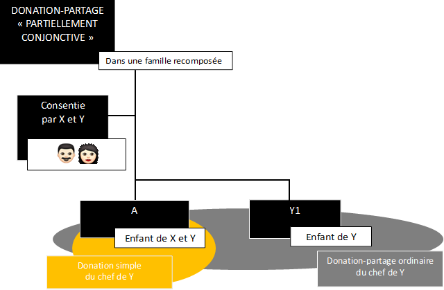 DONATION-PARTAGE 
« PARTIELLEMENT CONJONCTIVE »
,Dans une famille recomposée,Consentie
par X et Y

,Donation-partage ordinaire
du chef de Y
,A ,Y1,Enfant de Y,Enfant de X et Y,  ,Donation simple
du chef de Y
