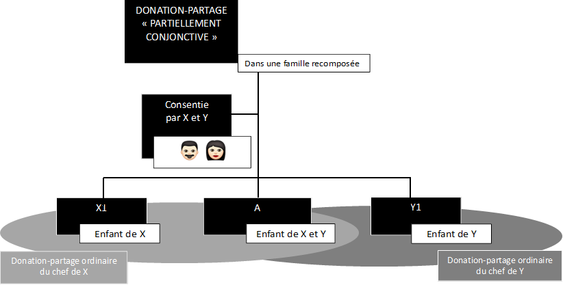 DONATION-PARTAGE 
« PARTIELLEMENT CONJONCTIVE »
,Consentie
par X et Y

,Donation-partage ordinaire
du chef de X
,Donation-partage ordinaire
du chef de Y
,X1,A ,Y1,Enfant de Y,Enfant de X et Y,Enfant de X,   ,Dans une famille recomposée